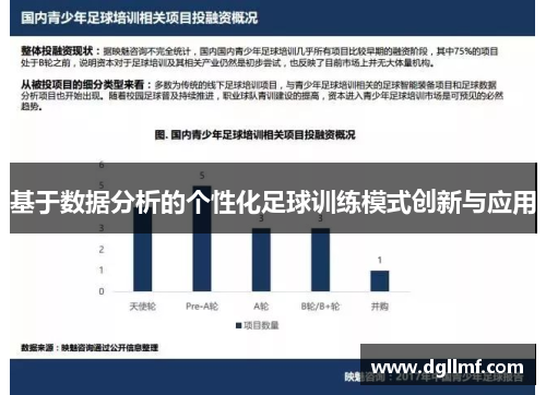 基于数据分析的个性化足球训练模式创新与应用